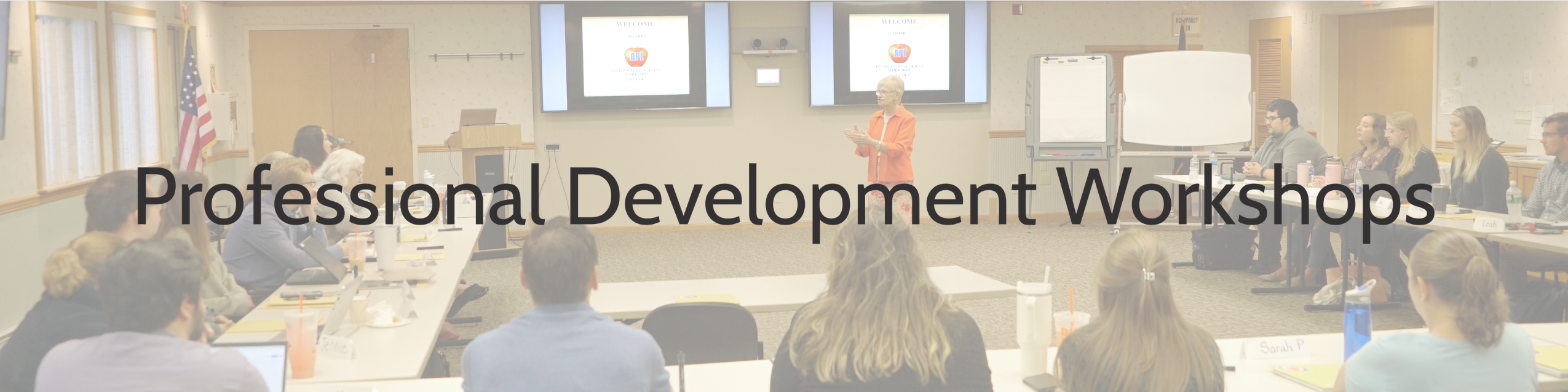 Professional Development Workshops 